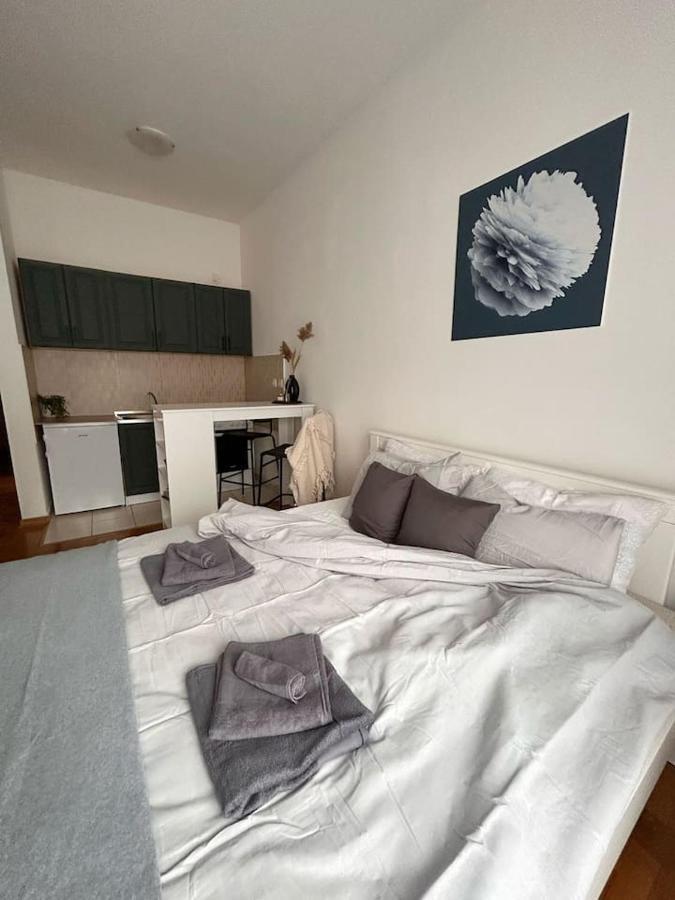 S11 Apartment โนวีซาด ภายนอก รูปภาพ