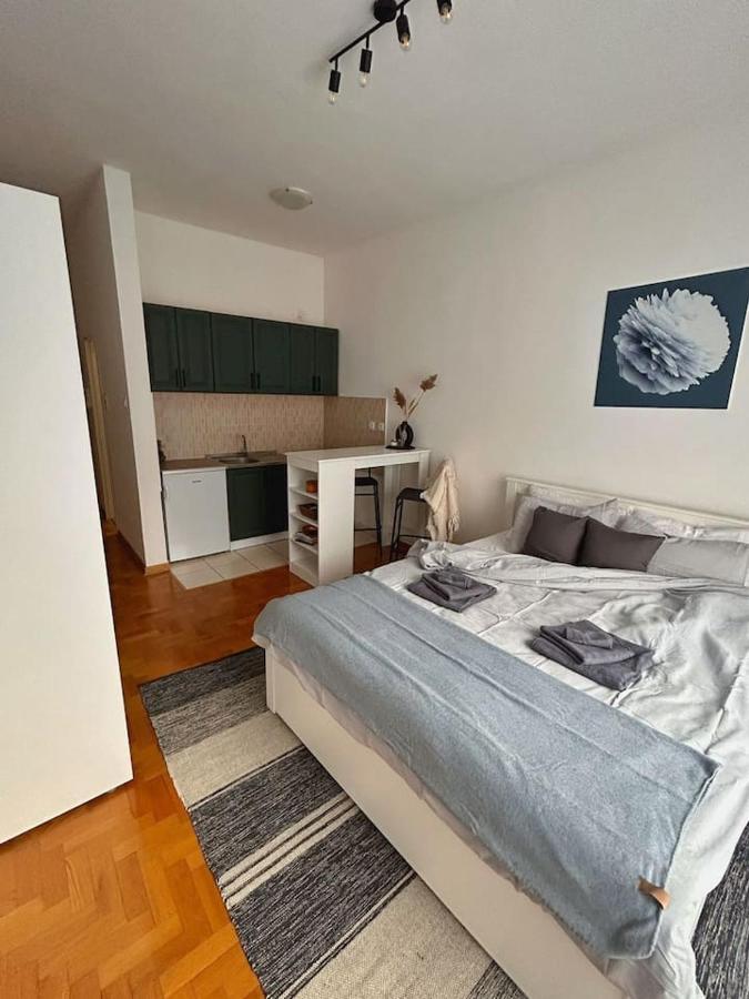 S11 Apartment โนวีซาด ภายนอก รูปภาพ